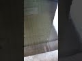 Снова потоп в нашем доме Снова потоп в нашем доме