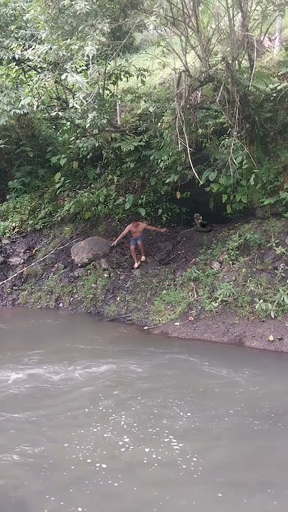 omg no feer man in the big snake
