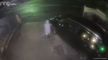 Luxury Lexus RX450hL CAN Bus Attack Theft - Car gone in 60 seconds.