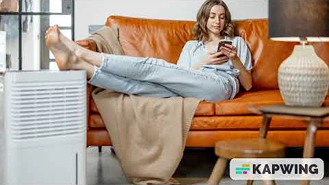 Why Is My Dehumidifier Running But Not Collecting Water