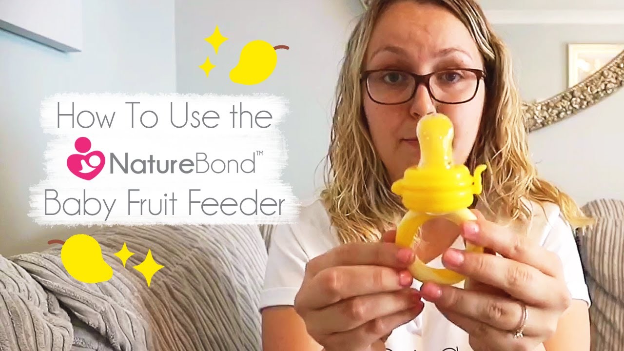 NatureBond Baby Food Feeder/Fruit Feeder Pacifier Nibbler (2 Pack) - Infant