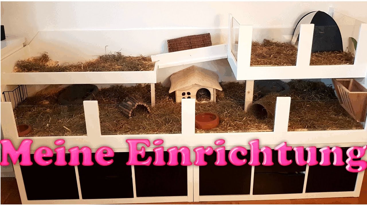 Meerschweinchen Käfig Bauen Meerschweinchen Käfig Bauen
