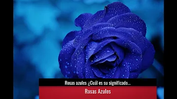 ¿Qué simboliza la flor azul?