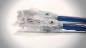 Evo6 Traceable Patch Cord