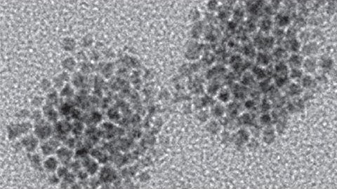 Are Quantum Dots the Cancer-Finding Pepto-Bismol of the Future?