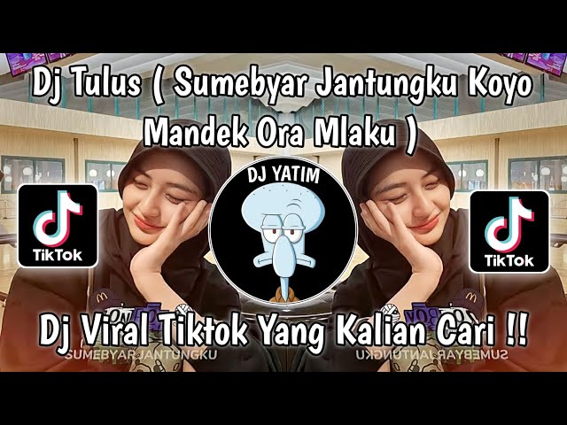 DJ  TULUS |SUMEBYAR JANTUNGKU KOYO MANUK ORA MLAKU VIRAL TIKTOK 2023 !! class=