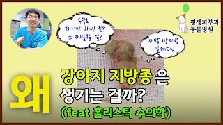 130. 강아지 지방종 홀리스틱 예방법[평생피부과동물병원]