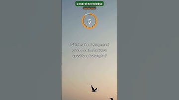 Quick challenge: What is the area of a triangle with base 12 and height 8? (#121-126)