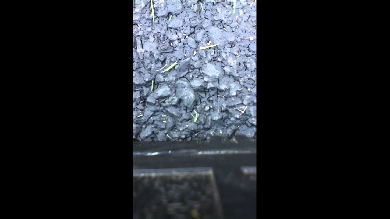 lawn roller Trash Find