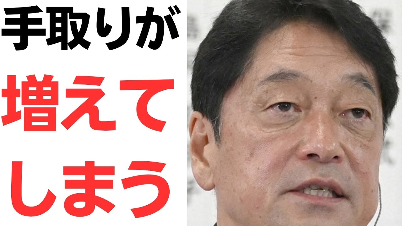 小野寺五典氏の手取り発言と所得税改革の論点｜動画内容を整理のサムネイル