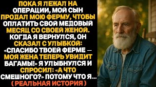 картинка: Мой сын продал моё хозяйство, чтобы уехать в путешествие с невесткой — и горько пожалел об этом
