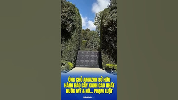 Hàng rào cây xanh cao nhất nước Mỹ của ông chủ Amazon #kienthucthuvi #kienthucvui