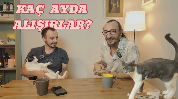 2. WATCH THIS VIDEO BEFORE ADOPTING A CAT!