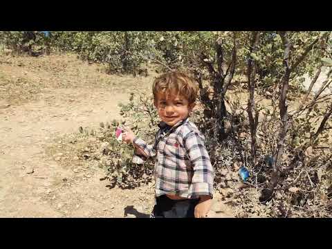 LoveandHate Muhammad S Unrest Over Tayyiba S Backbiting And Divorce And His FirstWife S Intrigue