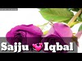 Iqbal Sajju Name WhatsApp status πππππππ Whatsapp Status Video Download Free