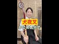 犬夜叉!かごめ気分で弓道体験!半弓道場ゆみやさん!