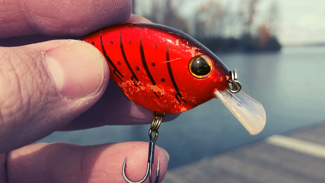 7 LURES for 40 Degree WATER (They STILL Bite)