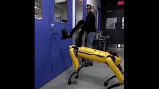 Robot dog voice over hilarious