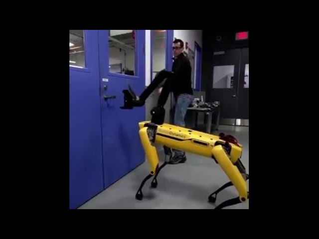 Robot dog voice over hilarious