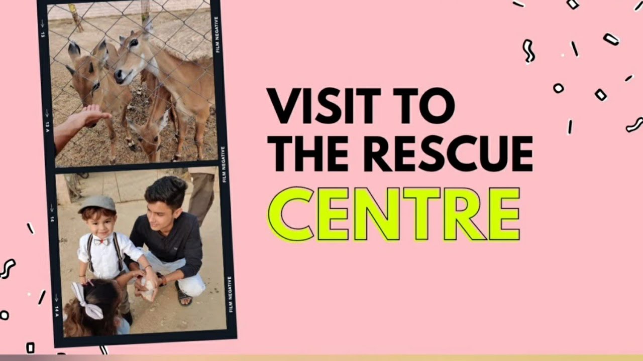 Free Animal Rescue Centre Near Me