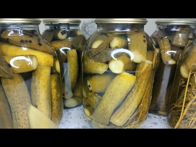 Интернетте аналармен виртуалды секс