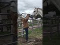 Girl Scares Horse With Mask Girl Scares Horse With Mask