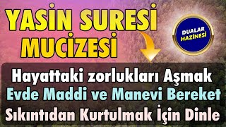 YASİN SURESİ DİNLE (3 DEFA HIZLI) - Dualar Hazinesi