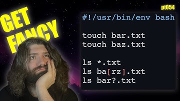 Bash Globbing Basics! How to use wildcards on the shell - You Suck at Programming #054