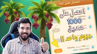 احصل على 1000 صديق بيوم واحد يلا جات !!؟ شجره النخيل YallaChat