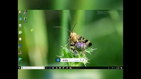 C# -How to display Date Time and calendar also in c#