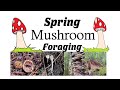 Spring Mushroom Foraging- Identifying Wild Mushrooms in Spring!