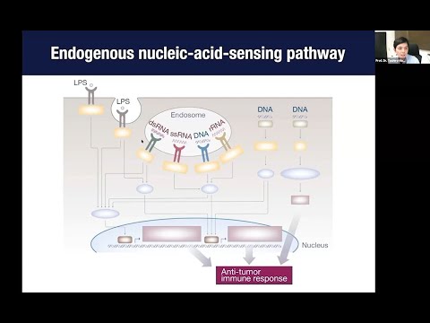 Disease and the Hippo Pathway