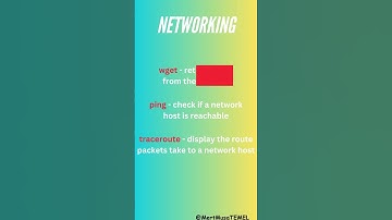 Master the Linux Command Line with These Essential Commands