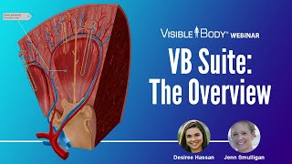 Visible Body Webinar | An Overview of VB Suite