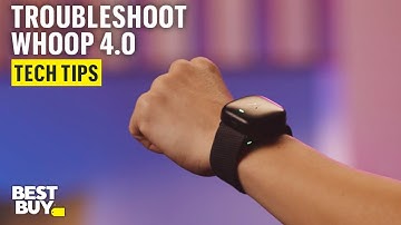 Troubleshooting Your WHOOP 4.0 Health and Fitness Tracker – Tech Tips from Best Buy