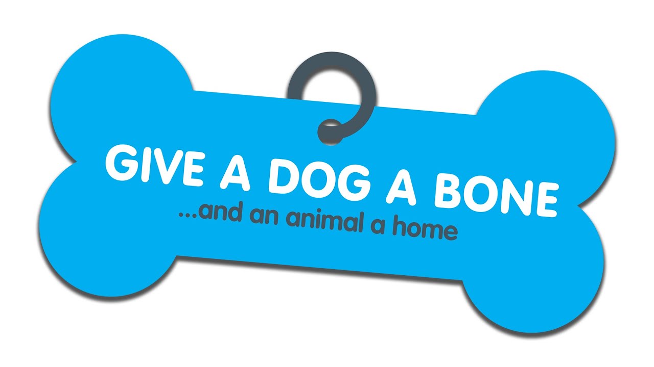 Give a Dog a Bone..