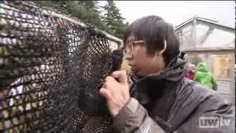 Climate Of Change - Fog Harvesting