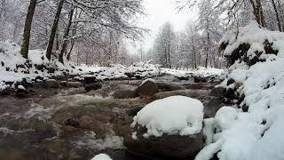 Soothing music of the winter forest and relaxing murmur of the mountain river