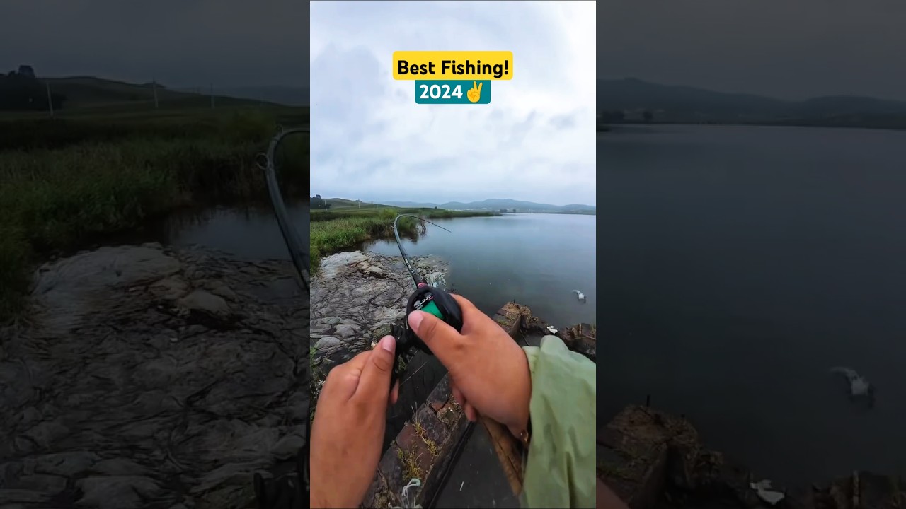 Latest match fishing videos 2024 | amazing fish video | hook fishing 