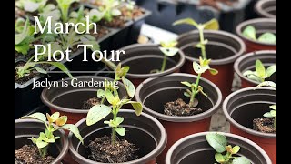 March Garden Tour: Jaclyn is Gardening