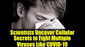 Scientists Uncover Cellular Secrets to Fight Multiple Viruses Like COVID-19