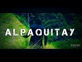 Yauri Music x Pelo D' Ambrosio - Alpaquitay [Video Oficial 2021] 🇵🇪🌎