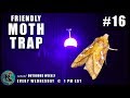 Building a Friendly Moth Trap (It's super easy.)  | KNOW #16