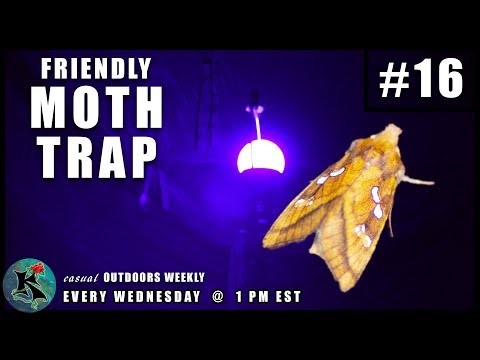 Just finished my homemade moth trap, hoping I'll get something