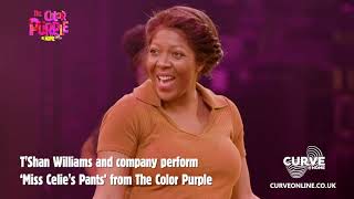 T-Shan Williams and the cast of The Color Purple singing Miss Celie's Pants