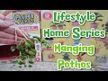 Miniverse make it mini lifestyle homes series 1 hanging pothos plant