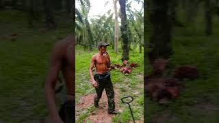 Download Lagu pejuang rupiah 🇮🇩🇮🇩🇮🇩☑️ MP3 Download Lagu pejuang rupiah 🇮🇩🇮🇩🇮🇩☑️ MP3