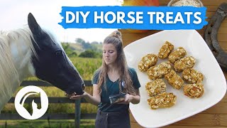 DIY HORSE TREATS (that even I can cook )