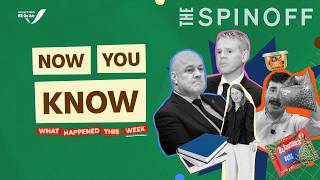 Watties, Hipkins, Wellingtons Library And A Hugely Significant Legal Battle The Spinoff