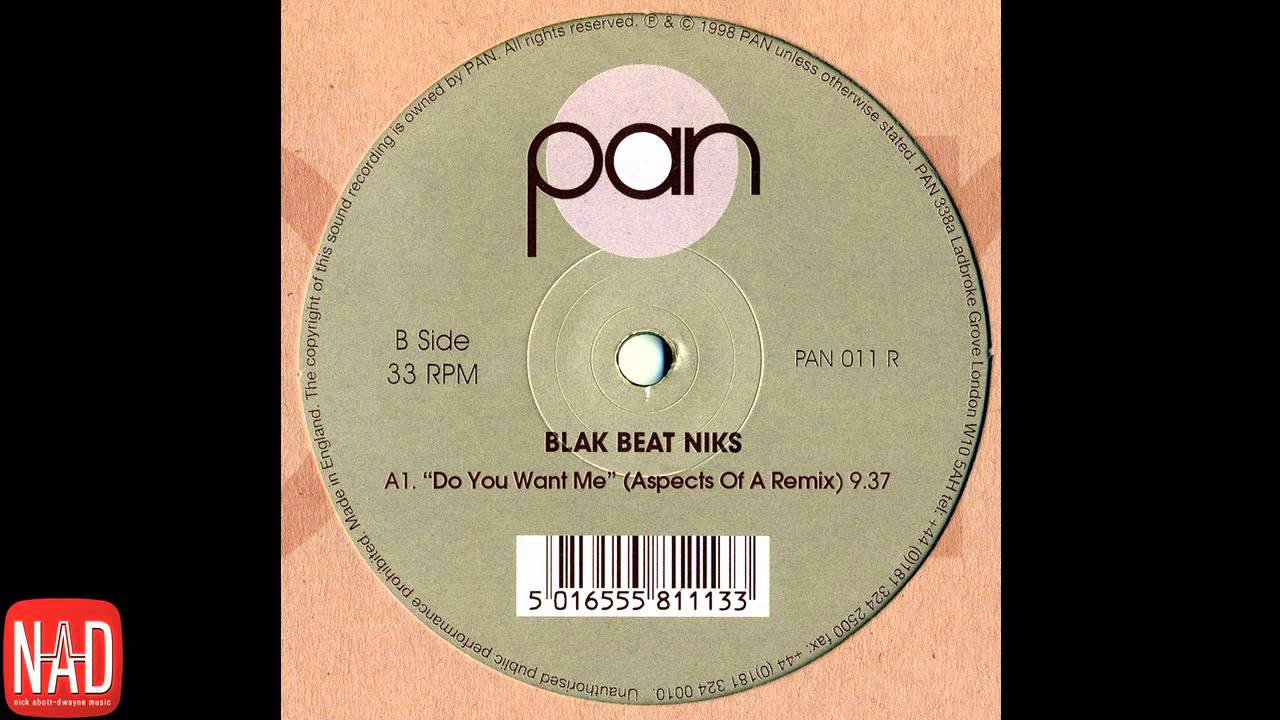 Blak Beat Niks - Do You Want Me (Aspects Of A Remix)